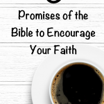 We all have days when we need some words that will support, strengthen, and reinforce our faith. Seasons where we aren’t sure what is happening or what we will do next. Perhaps you are in one of those seasons right now? Here are 6 promises of the Bible to encourage your faith. #bible #biblepromises #hope #encouragement