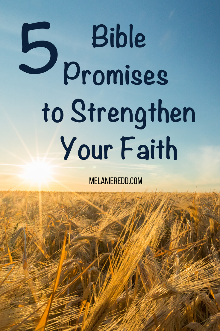 Having faith in God can be a challenge! Trusting God can be hard - especially right now. So, here are 5 Bible promises designed to strengthen your faith. I’m praying you will be encouraged by these powerful scriptures. #hope #biblepromises #faith #strengthenfaith