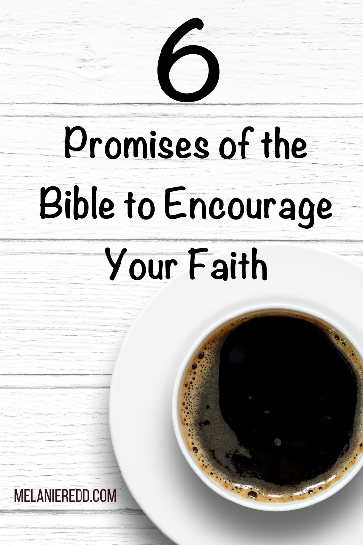 We all have days when we need some words that will support, strengthen, and reinforce our faith. Seasons where we aren’t sure what is happening or what we will do next. Perhaps you are in one of those seasons right now? Here are 6 promises of the Bible to encourage your faith. #bible #biblepromises #hope #encouragement