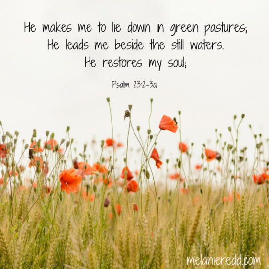 Turning Psalm 23 into a Personal Prayer - Melanie Redd