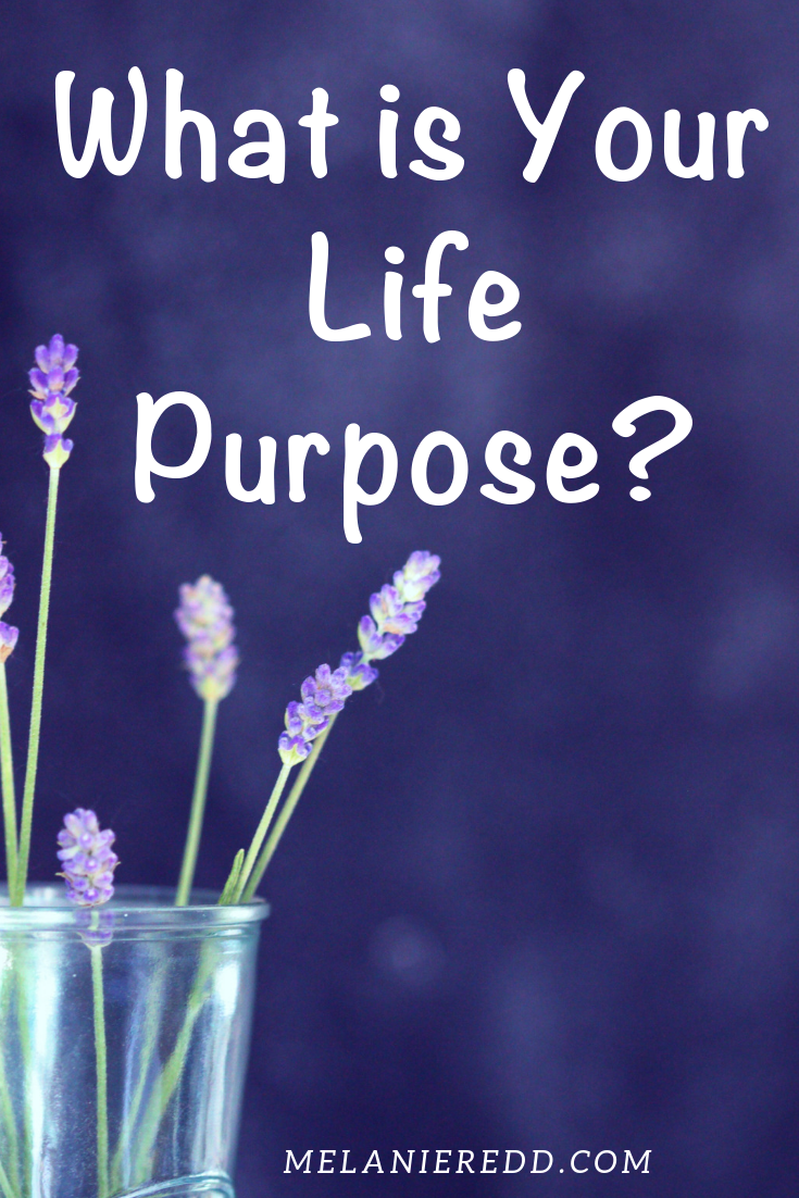 What are we to do with our lives? What has God created and called you and me to do? Let's consider answers as we discuss 'what is your life purpose?' #lifepurpose #godsplan #plansforlife #encouragement