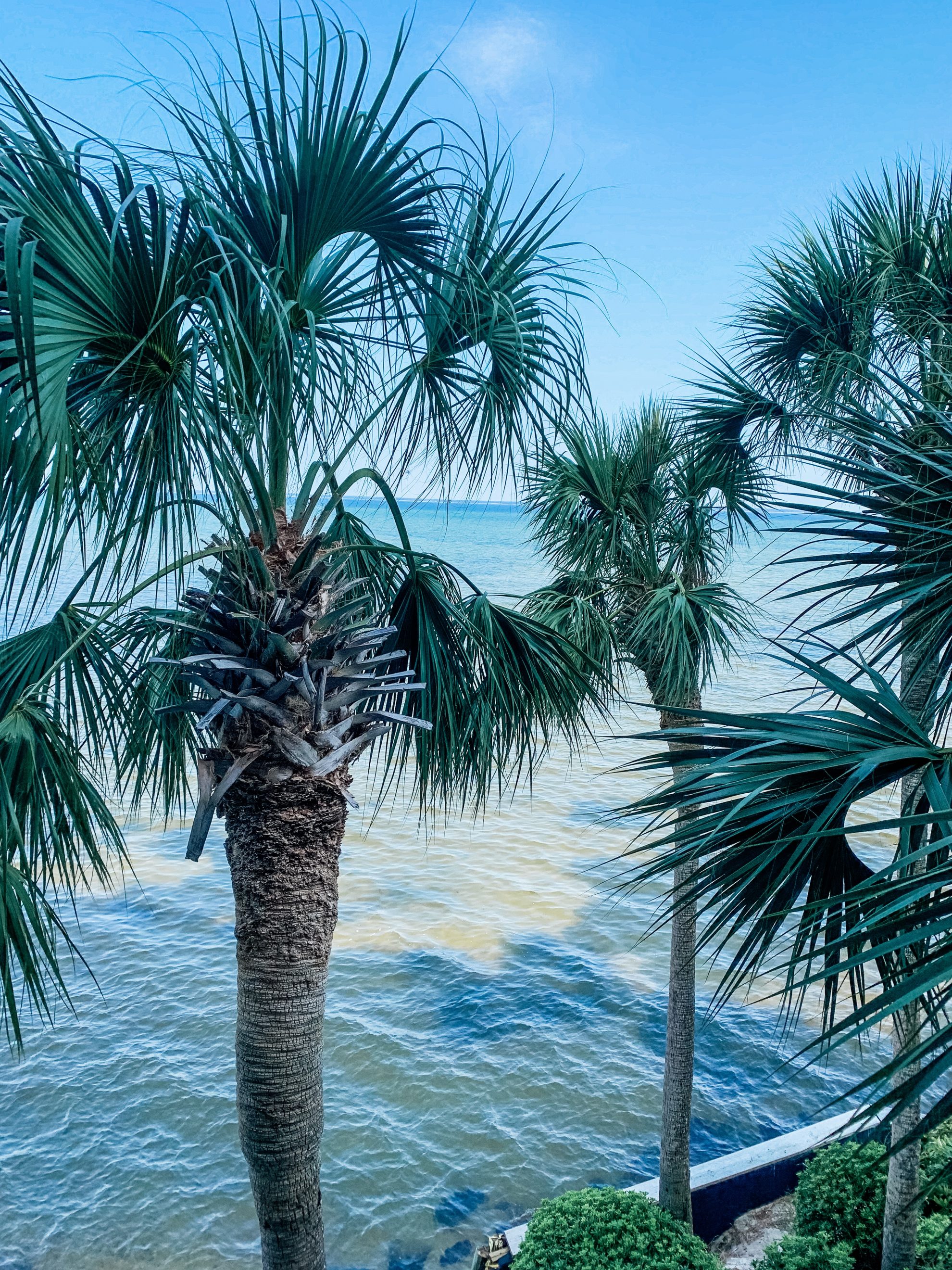 How to Enjoy the Destin, Florida, Beaches (without breaking the bank) #destin #destinfloridacom #sandestin #;paradisecityabb