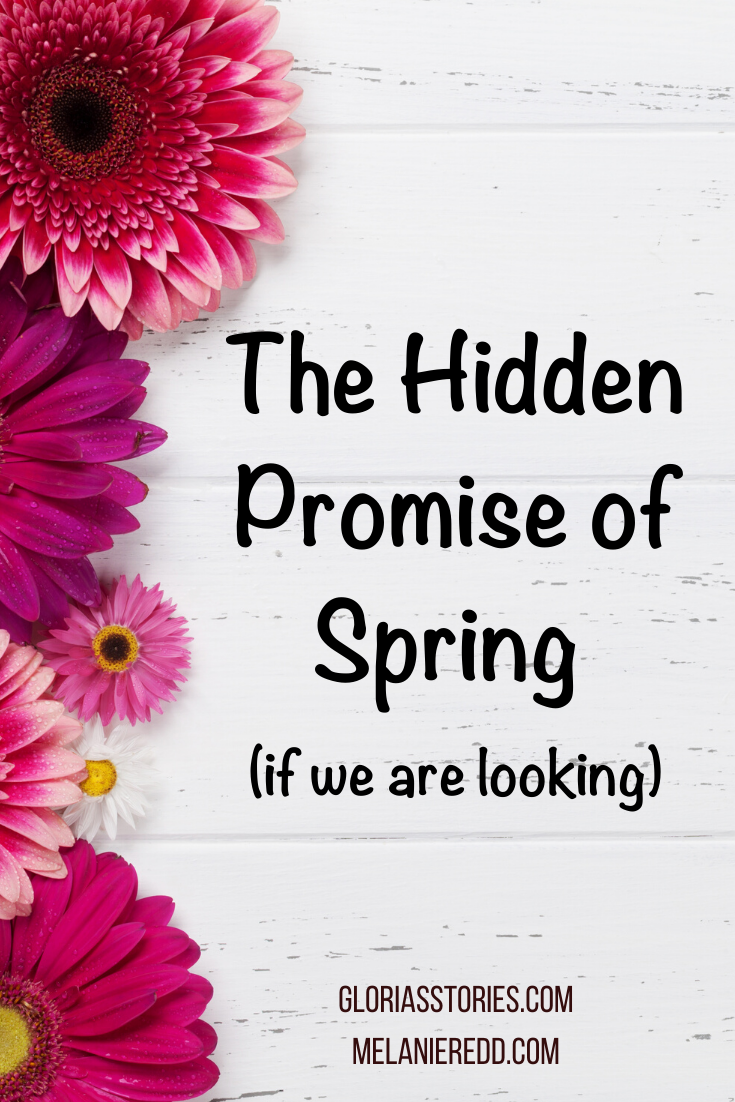 It's a strange season as we come out of the winter. Fear no longer tiptoes in the shadows but is out in the open. Discover the hidden promise of spring.
