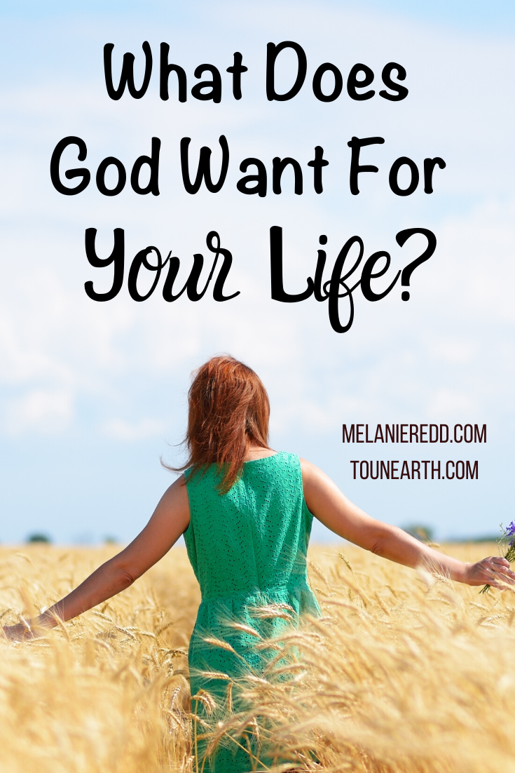 Do you ever question why God has asked something of you? It can be a challenging question at times. What does God want for your life? What is He asking of you? What does He want you to do next? That’s what we are talking about in this article taken straight from Scripture. Why not drop by for a visit? #godswill #hope #encouragment #planforyourlife #obedience