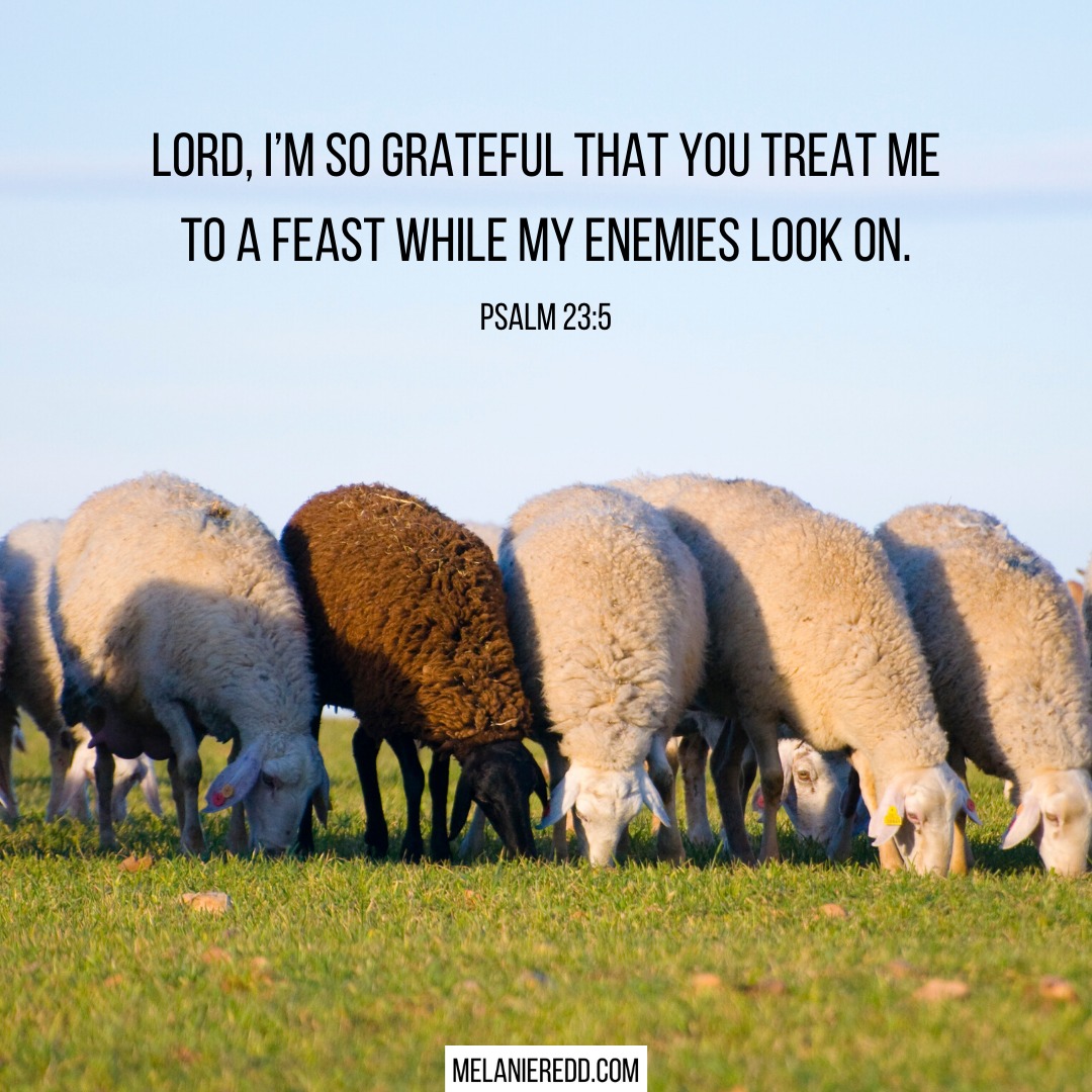 Psalm 23 is one of the most beloved passages in the Bible. Have you ever thought about turning into a prayer? It can be a simple and wonderful way to pray! Here is a very practical guide for how to pray through Psalm 23. #psalm23 #sheep #shepherd #prayer