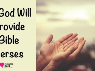 What do you need God to do for you right now? Where do you need Him to step in? Here are 5 God Will Provide Bible Verses to encourage you.
