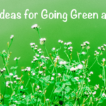 Three Ideas for Going Green At Home