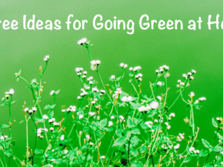 The quest to go green is all about making better, more informed decisions. Here are Three Ideas for Going Green At Home.