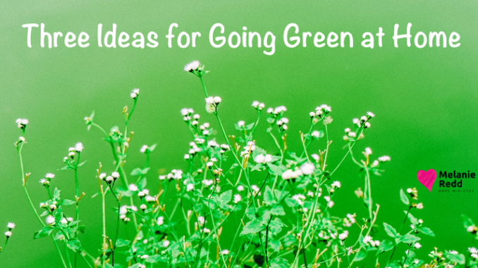 The quest to go green is all about making better, more informed decisions. Here are Three Ideas for Going Green At Home.