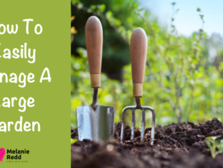 Gardening can seem overwhelming at times, but it can be simplified. Learn how to easily manage a large garden.