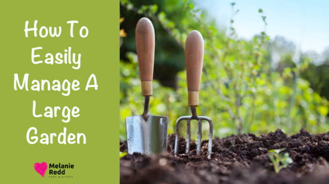 Gardening can seem overwhelming at times, but it can be simplified. Learn how to easily manage a large garden.