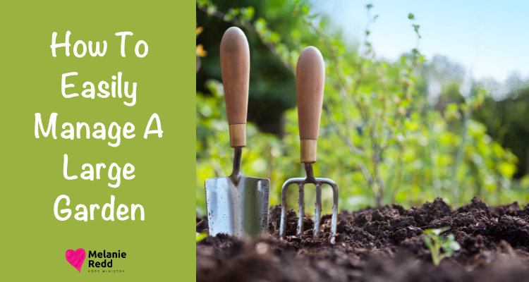Gardening can seem overwhelming at times, but it can be simplified. Learn how to easily manage a large garden.