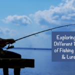 Exploring the Different Types of Fishing Baits and Lures